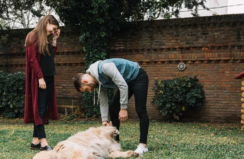 sesion-adiestramiento-canino-a-domicilio